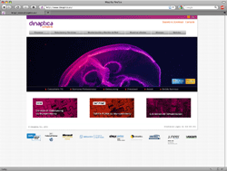 Website dinaptica